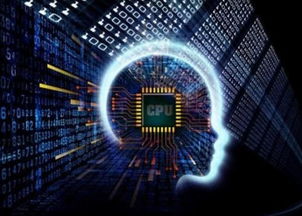 貝塔狗軟件系統定制開發